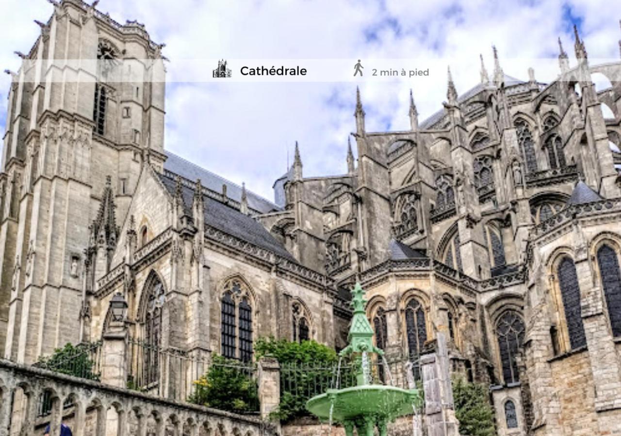 Apartment Le Cosy-chic, 2 Min A Pied Cathedrale , Jacobins *